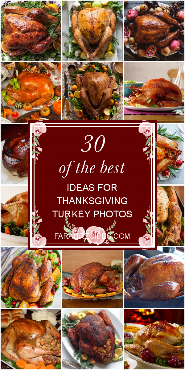 30 Of the Best Ideas for Thanksgiving Turkey Photos - Most Popular ...